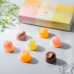 【GODIVA】ムースショコラ エ カカオフルーツジュレ（7個入）父の日2026 5