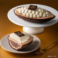 【GODIVA】【オンラインショップ限定・送料込】トレゾール ～3つのチョコレートを楽しむアイスケーキ～ 