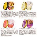【GODIVA】【送料込】アイス アソートコレクション(12個入​) 3