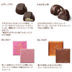 【GODIVA】ハート オブ ゴールド コレクション（10粒入） 5