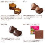 【GODIVA】ゴディバ ウィンターワンダーズ アソートメント（16粒入） 5