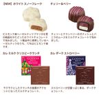 【GODIVA】ゴディバ ウィンターワンダーズ アソートメント（4粒入） 4