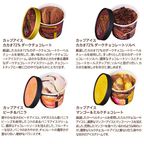   【GODIVA】  【オンラインショップ限定・送料込】アイス シーズナルコレクション（14個入）＋スプーン2本付き 4