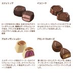 【GODIVA】プレミアムコレクション グランプラス（95粒入） 3