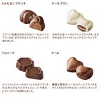 【GODIVA】ゴディバ サマー コレクション -海水浴の思い出-（8粒入） 4