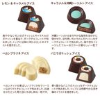 【GODIVA】ゴディバ サマー コレクション -海水浴の思い出- クッキー＆チョコレート アソートメント （クッキー8枚入/チョコレート 13粒入） 4