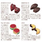 【GODIVA】ゴディバ フルーツバスケット セレクション（12粒入） 3