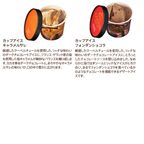   【GODIVA】  【オンラインショップ限定・送料込】アイス シーズナルコレクション（14個入）＋スプーン2本付き 5