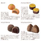 【GODIVA】ゴディバ フルーツバスケット セレクション（12粒入） 4