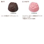 【GODIVA】ゴディバ meets どうぶつの森 アソートメント（10粒入） 5