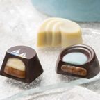 【GODIVA】ゴディバ サマー コレクション -海水浴の思い出- クッキー＆チョコレート アソートメント （クッキー8枚入/チョコレート 13粒入） 2