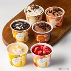 【GODIVA】アイス スイーツコレクション（6個入​）お中元2026 2