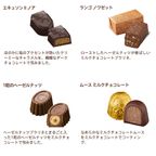 【GODIVA】ゴディバ ニューイヤー コレクション アソートメント（15粒入） 6