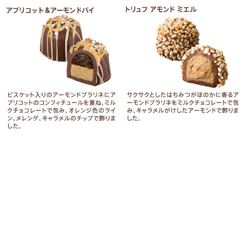 GODIVA】季節のトリュフ-春夏-（16粒入） （GODIVA） | Cake.jp