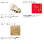 【GODIVA】ゴディバ ニューイヤー コレクション アソートメント（15粒入） 7