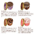 【GODIVA】【送料込】カップアイス&ショコラフォンデュ（6個入）​  3