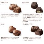 【GODIVA】クラシック ゴールド コレクション（20粒入） 3