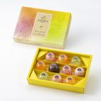 【GODIVA】ムースショコラ エ カカオフルーツジュレ（10個入）父の日2026 1