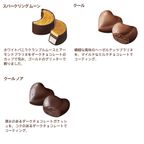 【GODIVA】ゴディバ 星降る森のクリスマス ツリー セレクション（10粒入） 母の日のギフト・プレゼント2025 3