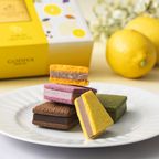 【GODIVA】サブレショコラ 瀬戸内レモン アソートメント（14個入） 2