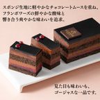 【オンラインショップ限定・送料込】ゴディバ ショコラ フランボワジー バレンタイン2026 ホワイトデー2026  3