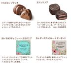 【GODIVA】ブーケ ド ゴディバ アソートメント（9粒入）​ 6