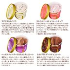 【GODIVA】【送料込】アイス バラエティーコレクション(15個入​) 7