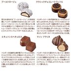 【GODIVA】ベルギースイーツ アソートメント（9粒入） 5