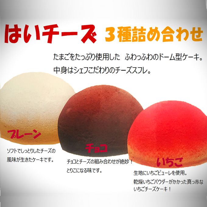 はいチーズ ３号 9cm（プレーン、いちご、チョコの３種セット） 1