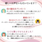 はちみつをかけて完成する濃蜜チーズケーキ ベイクドチーズケーキ 4号  3