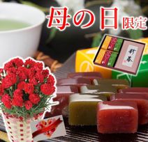 母の日限定 赤カーネーション 5号鉢 新茶と一口羊羹セット 抹茶 栗 小倉 各2個入り 和菓子 抹茶スイーツ 京都きよ泉 ※指定不可 