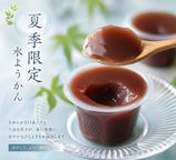 【京都 きよ泉】 夏季限定 水ようかん 抹茶プリン ほうじ茶プリン 6個入り 洋菓子 スイーツ お菓子 ギフト  お中元2026 2