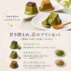 ハロウィン限定 【京都 きよ泉】 5種23点 抹茶スイーツ 詰め合わせ ( チョコレート ダックワーズ プリン くずもち ようかん)  抹茶チョコレート ほうじ茶 ギフト プレゼント ハロウィン 2026 5