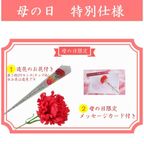 【京都 きよ泉】 新茶と一口ようかんセット 風呂敷包み 2026年産 新茶 3種の一口羊羹 和菓子 ギフト プレゼント 母の日2026 6