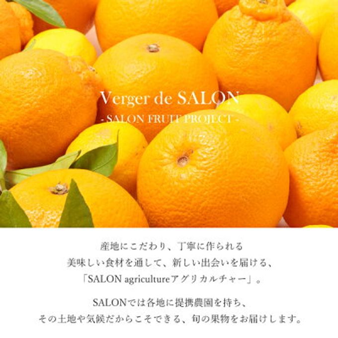 SALON adam et rope' フルーツショコラ(オレンジ4個入)  7