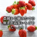 【当日出荷可能・冷凍】軽井沢農園パティスリーから完熟夏いちごタルト5号  2