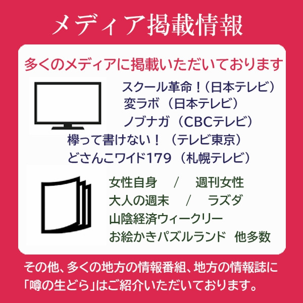噂の生どら（マンゴー）5個セット 4