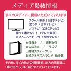噂の生どら（マンゴー）5個セット 4