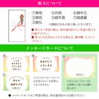 和菓子ギフトA（むら雲１つぶ2栗1） 10