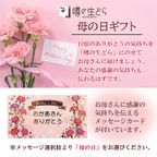 噂の生どらバラエティ 15個セット  5