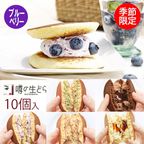 噂の生どら（ブルーベリーとバラエティ5種） 10個セット 1