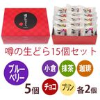 噂の生どら（ブルーベリーとバラエティ5種） 15個セット 2