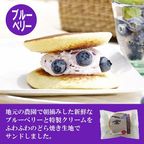 噂の生どら（ブルーベリーとバラエティ5種） 15個セット 9