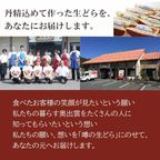 噂の生どら（マンゴーと定番5種）15個セット 8