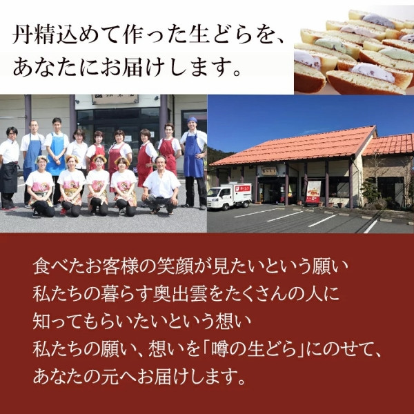 噂の生どら（マンゴー）5個セット 8