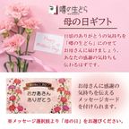 噂の生どらバラエティ 5個セット  5