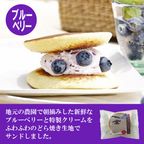 噂の生どら（ブルーベリー） 5個セット 9