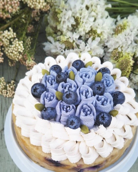 ブルーベリーチーズケーキ味 ㅤ 🫐【冷やしてとろける、青いしあわせ。】 「夏摘み