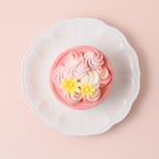 https://assets.cake.jp/bp/itemimg/11489/1871402632624bcf1dab80c20220405.jpg 3