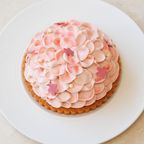 【SALON BAKE ＆ TEA】桜のモンブランタルト 4号 5